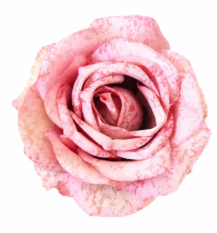 12szt. róż róże róża 9cm główka kwiatowa różowa cieniowana.png