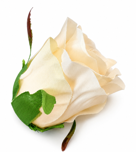 róża 5cm pastelowa brzoskwinia, główka róży brzoskwiniowej.jpg.png