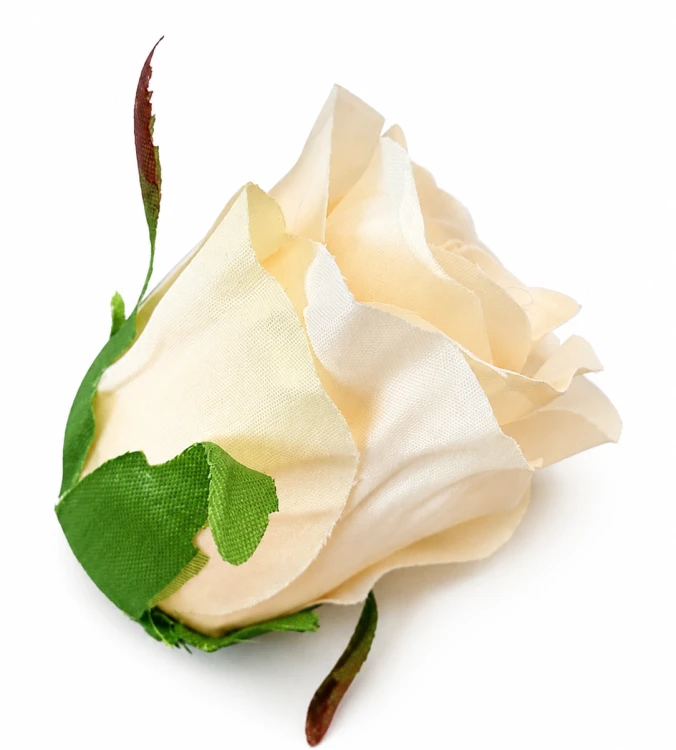 róża 5cm pastelowa brzoskwinia, główka róży brzoskwiniowej.jpg.png
