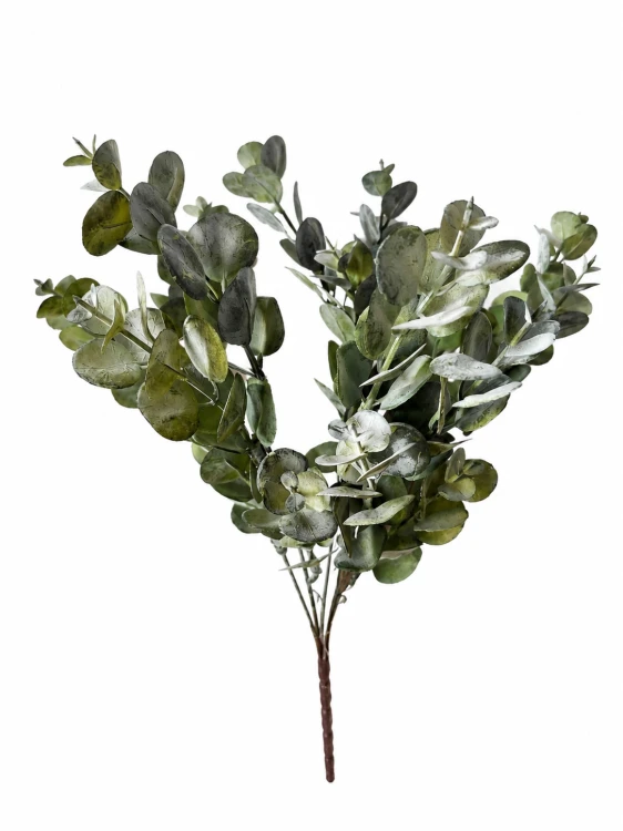eukaliptus bukiet ciemni zielony, omszały, zgnita zieleń, 37 cm.png