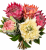 protea gałązka 15szt protei, kwiat cesarski 48cm, kremowa, zielona, pomarańczowa, różowa, czerwona.png