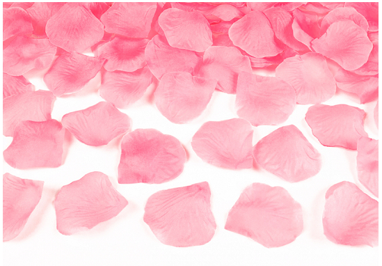 0 — kopia (2) — kopia.png