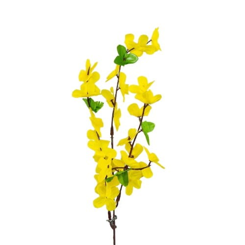 forsycja_1_K16-01-03-removebg-preview (1).jpg