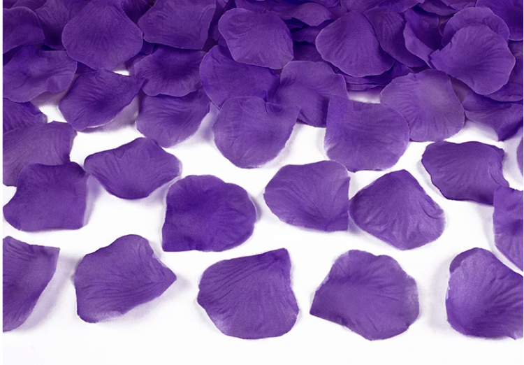 0 — kopia — kopia.png