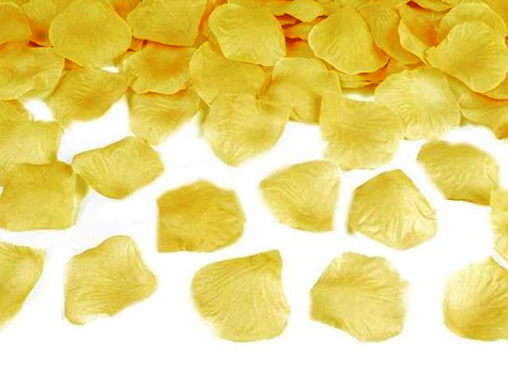 0 — kopia (2) — kopia — kopia.png