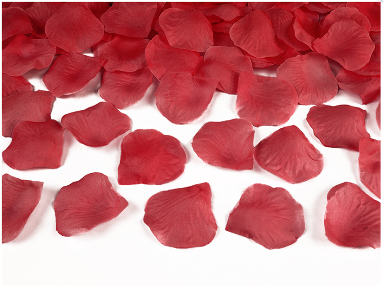 0 — kopia (2) — kopia.png